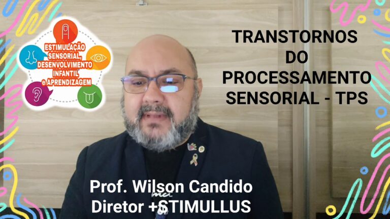 Recursos Terap&ecirc;uticos para Disfun&ccedil;&atilde;o de Processamento Sensorial