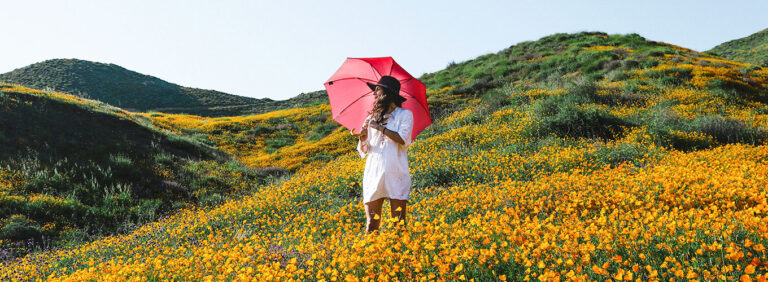 Terapeuta Narrativo em Florian&oacute;polis